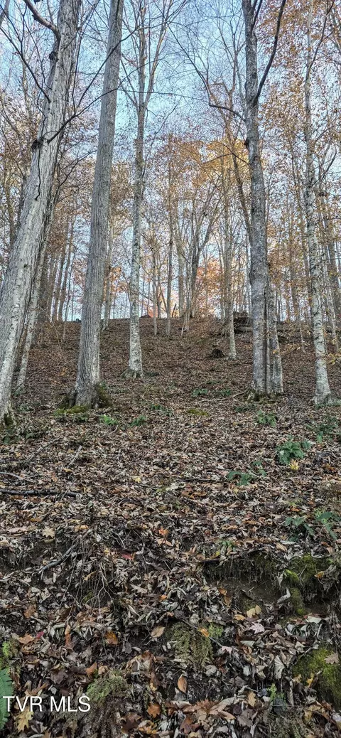 2351 Line Road Eidson Tn 37731, Eidson, TN 37731 photo 14