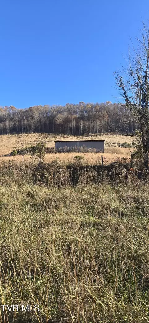 2351 Line Road Eidson Tn 37731, Eidson, TN 37731 photo 2