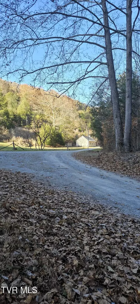2351 Line Road Eidson Tn 37731, Eidson, TN 37731 photo 3