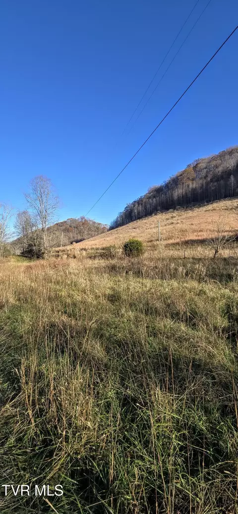 2351 Line Road Eidson Tn 37731, Eidson, TN 37731 photo 6