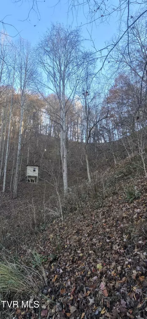 2351 Line Road Eidson Tn 37731, Eidson, TN 37731 photo 10