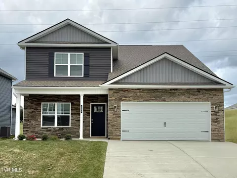 236 Chimney View Loop Blountville Tn 37617, Blountville, TN 37617