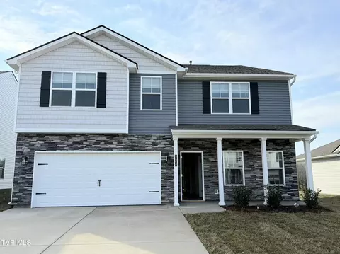 233 Chimney View Loop Blountville Tn 37617, Blountville, TN 37617