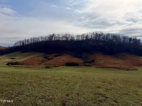 tbd Thomas Lane Bluff City Tn 37618, Bluff City, TN 37618