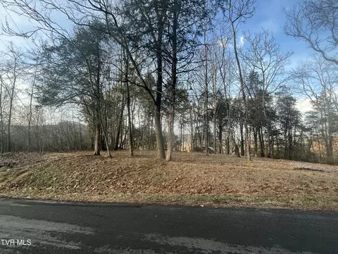 tbd Hill Station Alley Rd Gate City Va 24251, Gate City, VA 24251