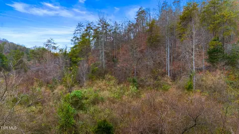 661 E Pumpkin Valley Rd Eidson Tn 37731, Eidson, TN 37731 photo 12