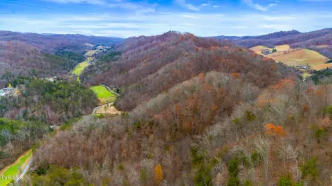 661 E Pumpkin Valley Rd Eidson Tn 37731, Eidson, TN 37731 photo 14