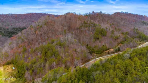 661 E Pumpkin Valley Rd Eidson Tn 37731, Eidson, TN 37731 photo 3