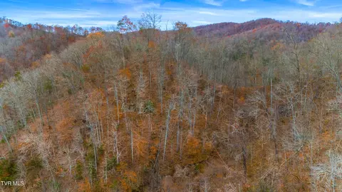 661 E Pumpkin Valley Rd Eidson Tn 37731, Eidson, TN 37731 photo 16
