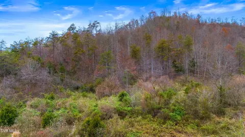 661 E Pumpkin Valley Rd Eidson Tn 37731, Eidson, TN 37731 photo 10