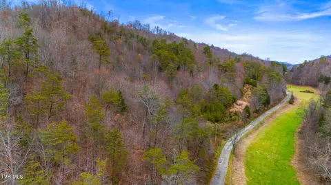 661 E Pumpkin Valley Rd Eidson Tn 37731, Eidson, TN 37731 photo 6
