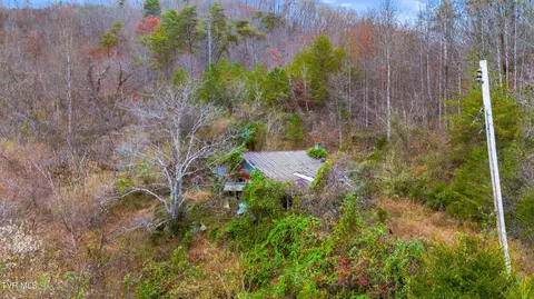 661 E Pumpkin Valley Rd Eidson Tn 37731, Eidson, TN 37731 photo 11