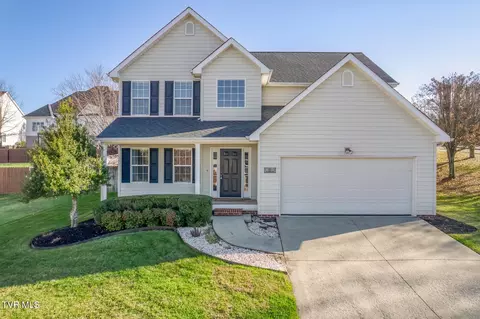 113 Lee Carter Drive Johnson City Tn 37601, Johnson City, TN 37601
