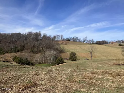 tbd Methodist Ridge Road Road Telford Tn 37690, Telford, TN 37690