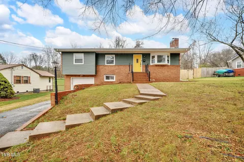 1008 Crocus Street Johnson City Tn 37601, Johnson City, TN 37601