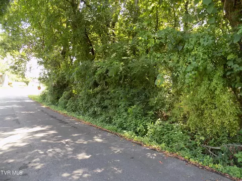 tbd Lakeshore Circle Rogersville Tn 37857, Rogersville, TN 37857