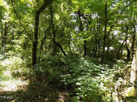 000 Timberlake Circle Rogersville Tn 37857, Rogersville, TN 37857