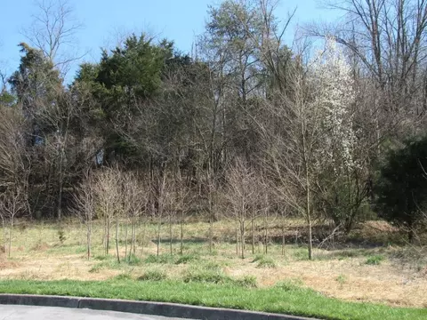 lot3 Lockport Circle Kingsport Tn 37664, Kingsport, TN 37664