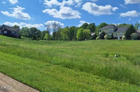 101 N Forest Lane Blountville Tn 37617, Blountville, TN 37617