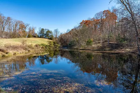 View/Area - 500 Urbana Road Limestone Tn 37681, Limestone, TN 37681 photo 7 of 10