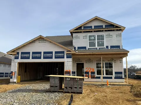 228 Artist Avenue Johnson City Tn 37615, Johnson City, TN 37615