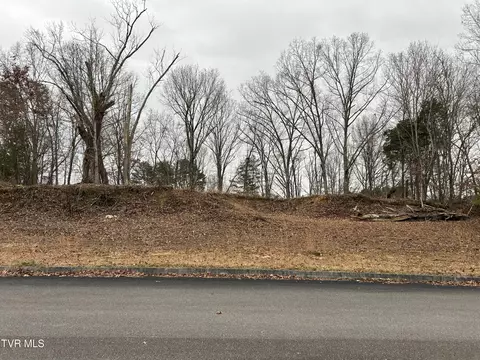252 Carrie Circle Mount Carmel Tn 37645, Mount Carmel, TN 37645