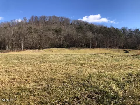 1390 Babbs Mill Road Afton Tn 37616, Afton, TN 37616