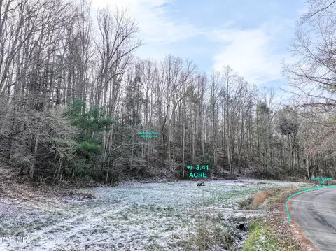 875 Frank Roberts Road Afton Tn 37616, Afton, TN 37616