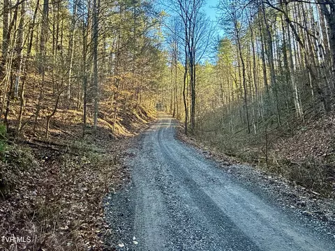 25 72ac Tbd Rollins Road Hartford Tn 37753, Hartford, TN 37753