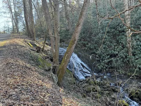 0 Clear Branch Road Flag Pond Tn 37657, Flag Pond, TN 37657