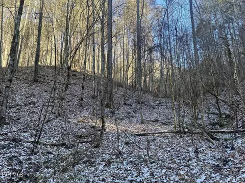 0 Clear Branch Road Flag Pond Tn 37657, Flag Pond, TN 37657