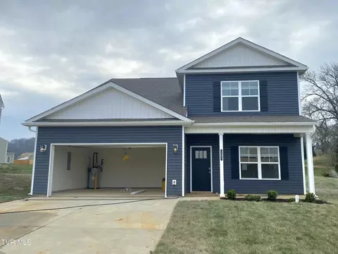 107 Mint Court Bluff City Tn 37618, Bluff City, TN 37618