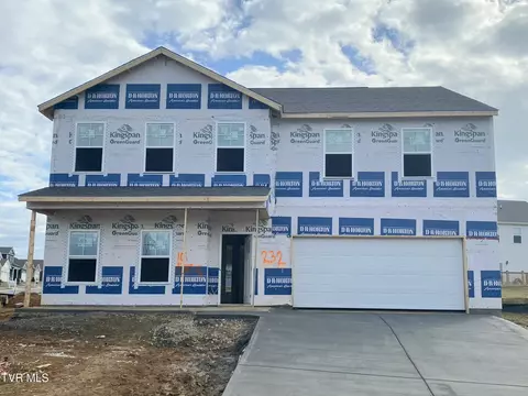 101 Mint Court Bluff City Tn 37618, Bluff City, TN 37618