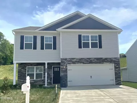 115 Mint Court Bluff City Tn 37618, Bluff City, TN 37618