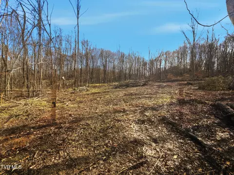 270 Freedom Road Limestone Tn 37681, Limestone, TN 37681