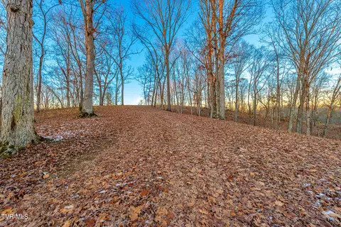 2246 Turkey Ridge Drive Piney Flats Tn 37686, Piney Flats, TN 37686