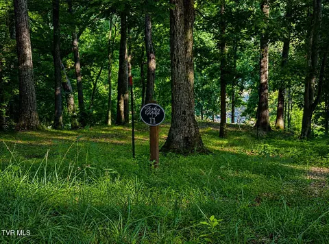 2297 Turkey Ridge Lane Piney Flats Tn 37686, Piney Flats, TN 37686