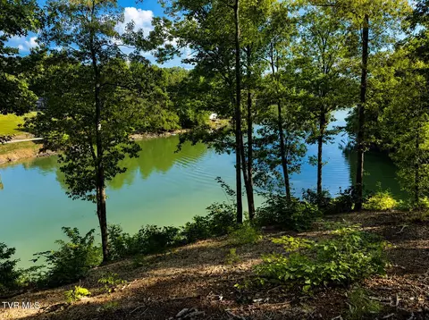 2318 Turkey Ridge Lane Piney Flats Tn 37686, Piney Flats, TN 37686