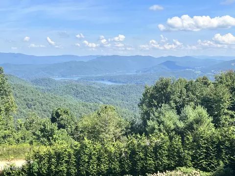 tbd Tulip Poplar Trail Extension Butler Tn 37640, Butler, TN 37640