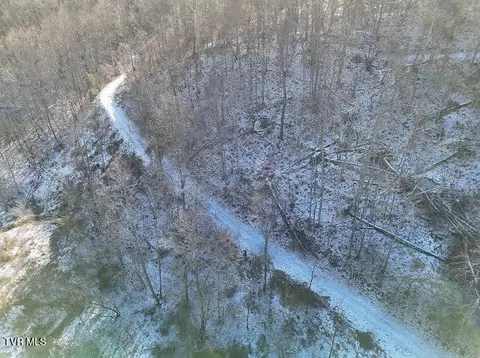 tbd Sugar Run Road Cedar Bluff Va 24609, Cedar Bluff, VA 24609 photo 4