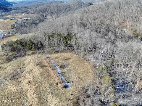 tbd Sugar Run Road Cedar Bluff Va 24609, Cedar Bluff, VA 24609