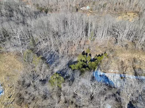 tbd Sugar Run Road Cedar Bluff Va 24609, Cedar Bluff, VA 24609 photo 9