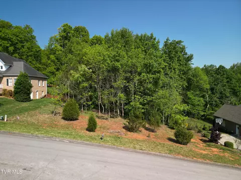 160 Sugarcane Lane Blountville Tn 37617, Blountville, TN 37617