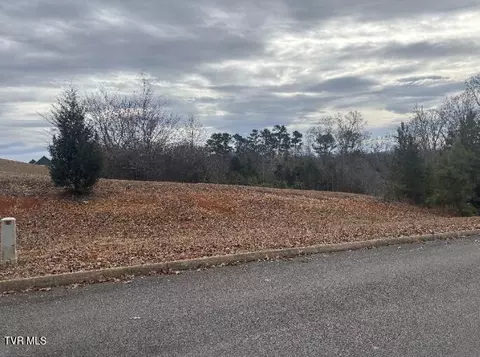 0000 Tumbleweed Trail Rutledge Tn 37861, Rutledge, TN 37861