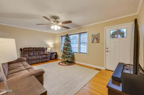 1504 Squibb Drive Johnson City Tn 37601, Johnson City, TN 37601 photo 6
