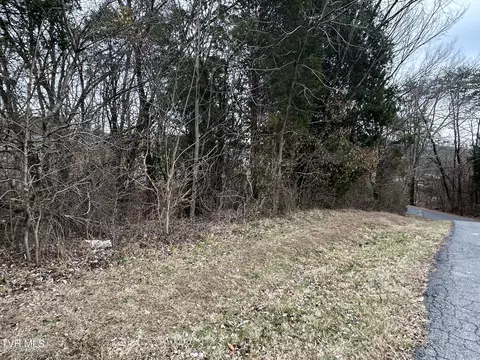 tbd Lowrance Drive Kingsport Tn 37660, Kingsport, TN 37660