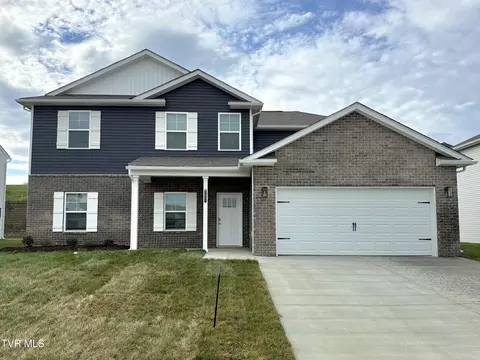 227 Artist Avenue Johnson City Tn 37615, Johnson City, TN 37615