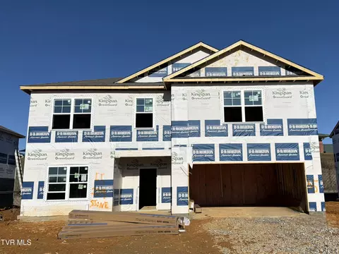 229 Artist Avenue Johnson City Tn 37615, Johnson City, TN 37615