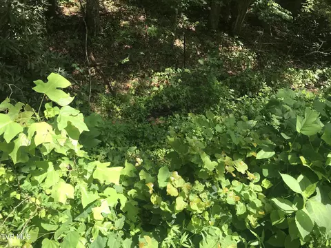 0000 Noellwood Drive Greeneville Tn 37743, Greeneville, TN 37743