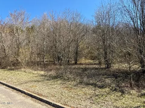 lot62 Secluded River Circle Parrottsville Tn 37843, Parrottsville, TN 37843